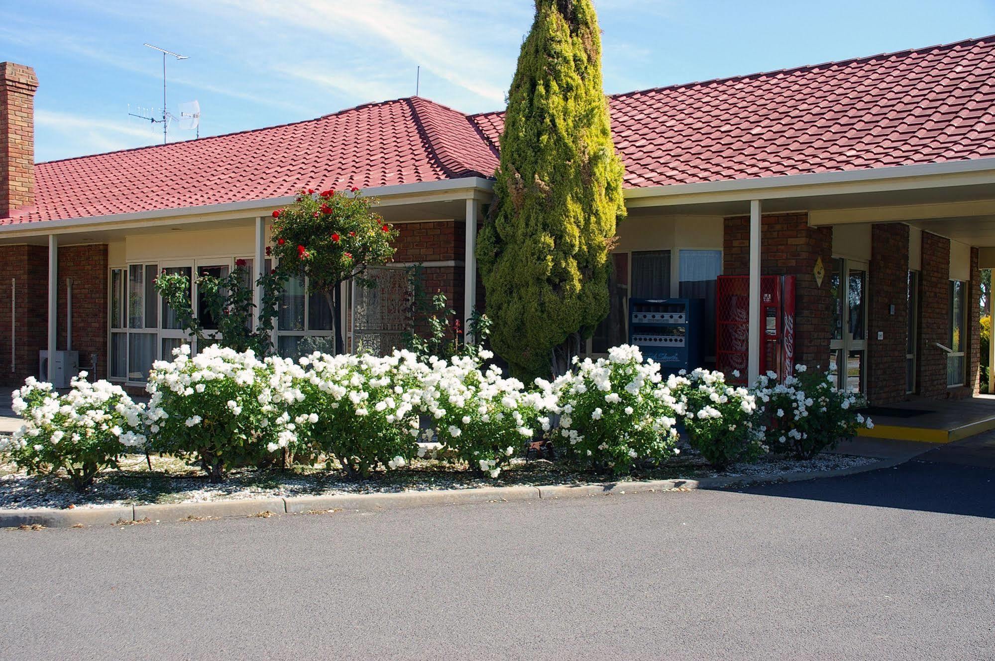 Pines Country Club Motor Inn Shepparton Dış mekan fotoğraf